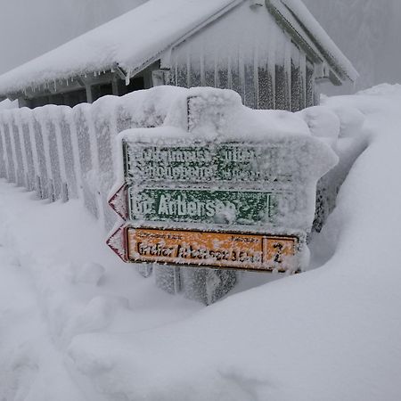 Apartman Arberblick 20 Bayerisch Eisenstein Exteriör bild
